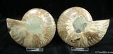Inch Polished Pair From Madagascar #1442-2